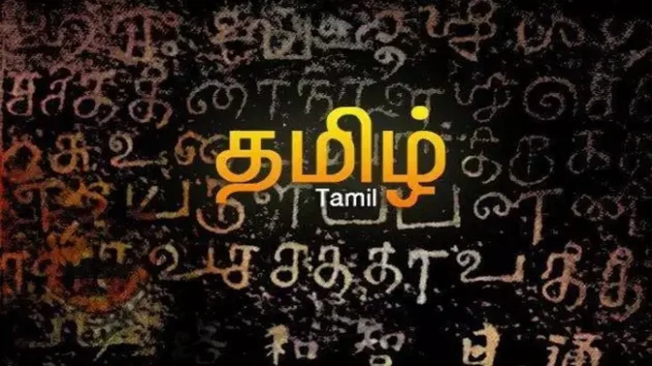 மற்ற மொழிகளை பின்னுக்கு தள்ளி தமிழ் முதலிடம்! – விக்கிப்பீடியா போட்டி!