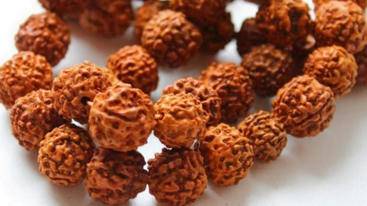 Rudraksha