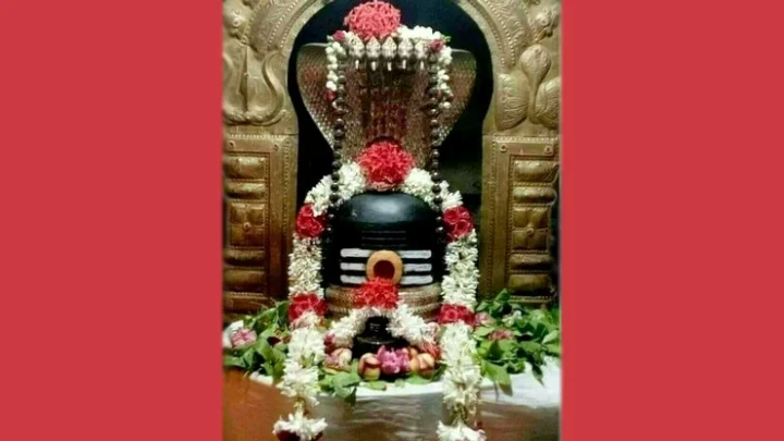 மாசி மகம்