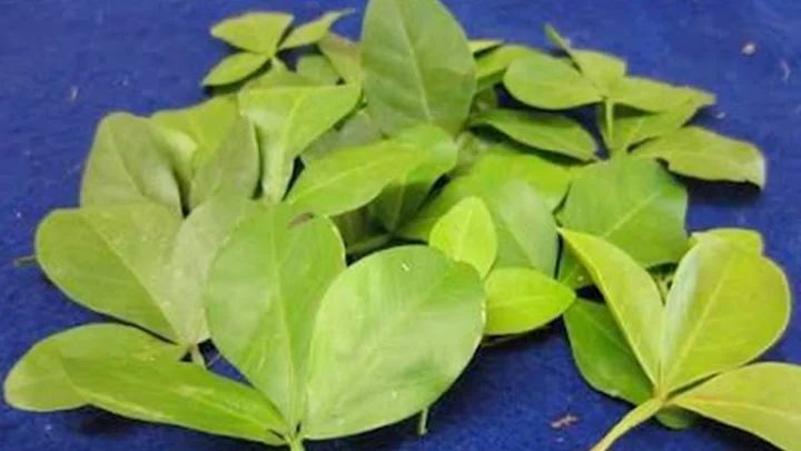 மகாலட்சுமி
