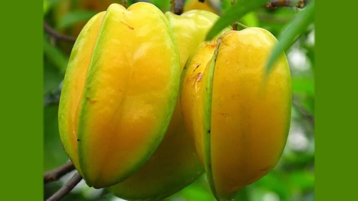 ஆரோக்கியம்