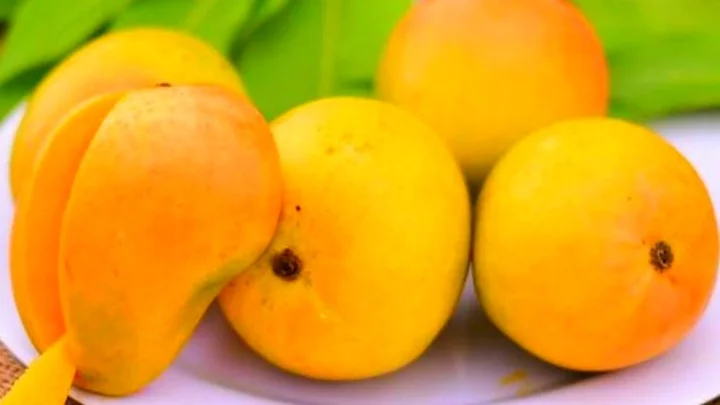 Mango
