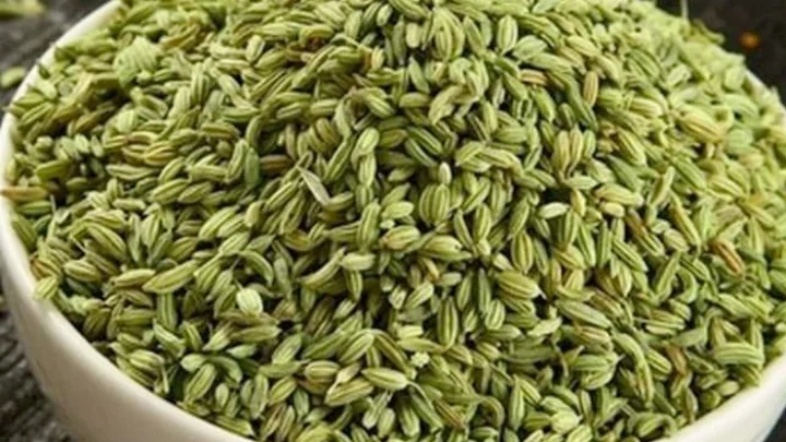 பெருஞ்சீரகம்