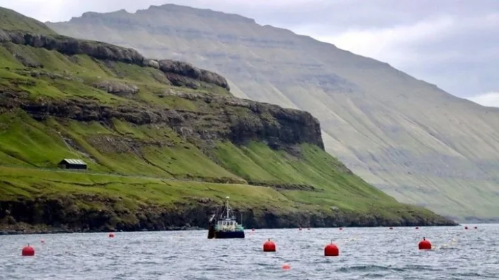 பரோ தீவுகள்