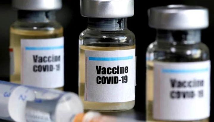 World's first sniffing corona vaccine arrives Marathi International news In Webdunia Marathi