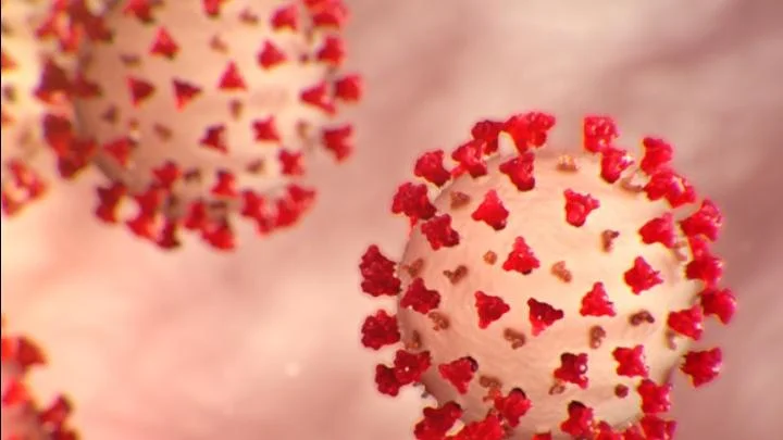 कोरोनाच्या नवीन व्हेरिएंट FLiRT ने चिंता वाढवली ! लसीकरण झालेल्या लोकांनाही संसर्ग होऊ शकतो