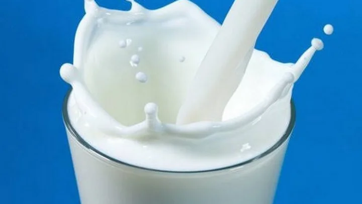 Milk