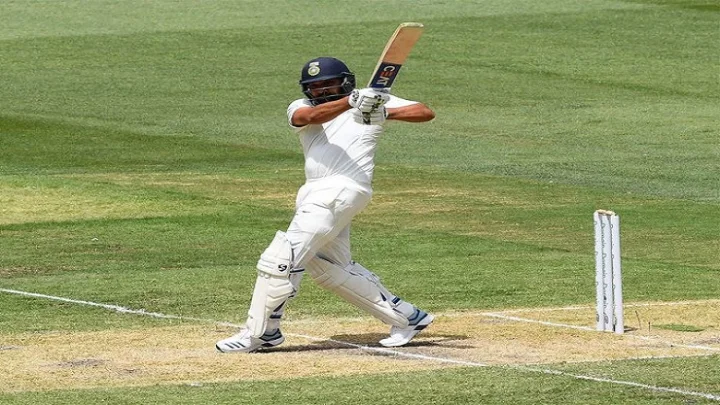 Cricket
