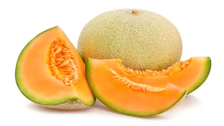 முலாம் பழம்