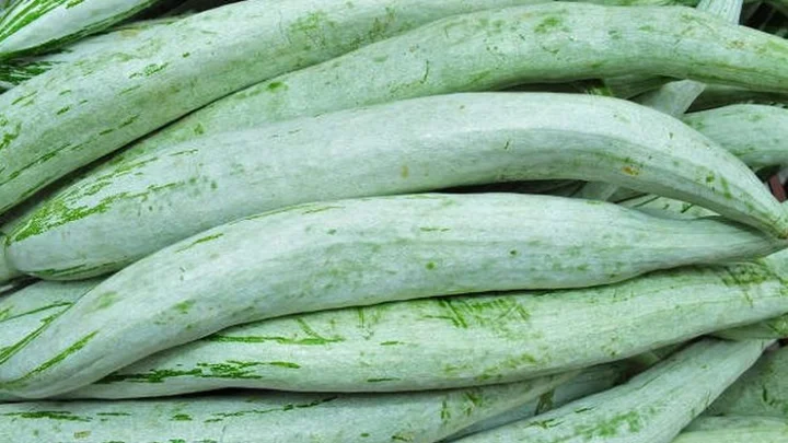 புடலங்காய்