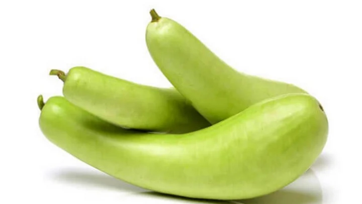 Bottle Gourd