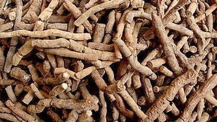 நன்னாரி வேரின் பயன்கள்.Benefits of Nannari root 