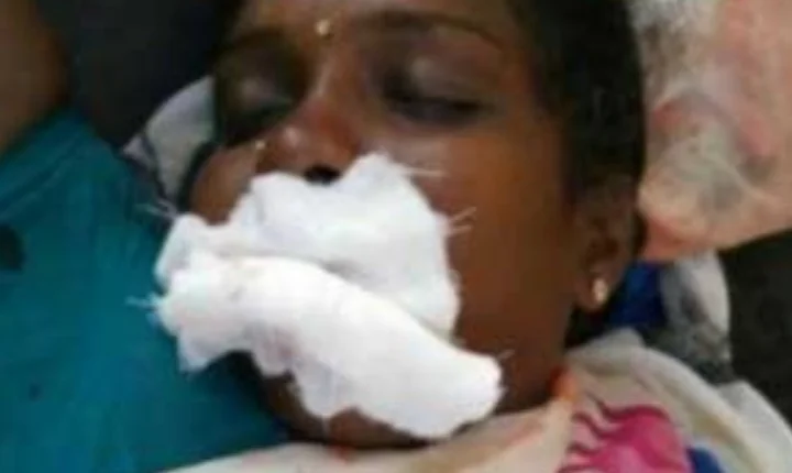 முதல்வர் ஸ்டாலின் 