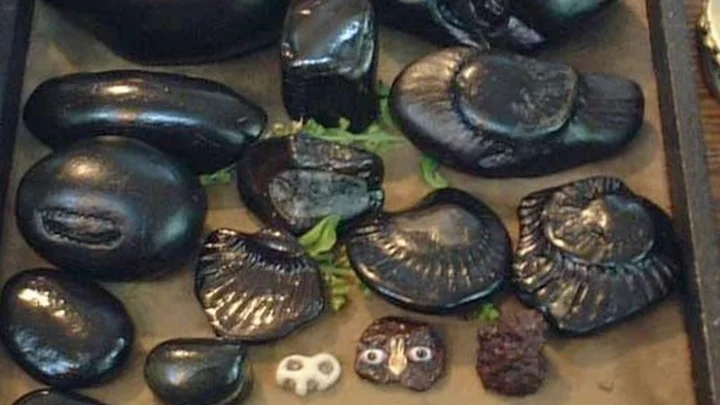 சாளக்கிராமம்