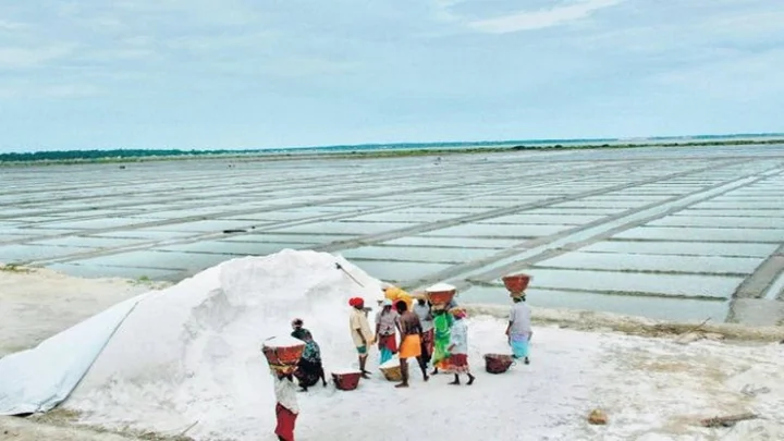 தூத்துகுடி