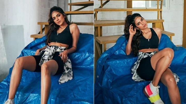 மாளவிகா மோகனன்