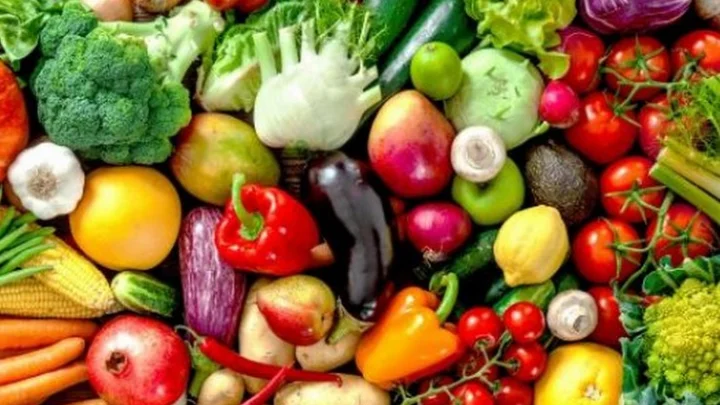 காய்கறி செடி