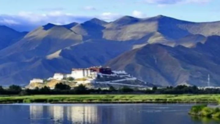 paradise for all living