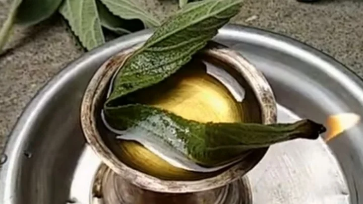 பேய் மிரட்டி