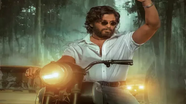 Pushpa Release on OTT