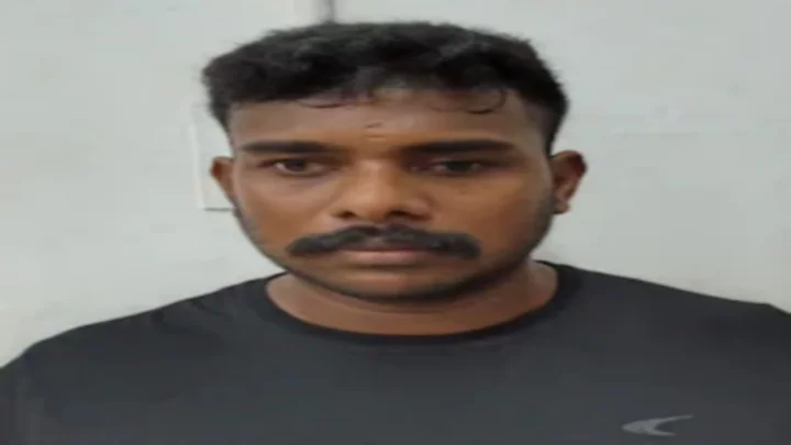 கல்லூரி