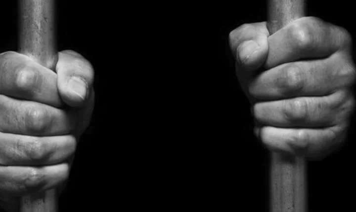 International Day for the Remembrance of the Slave Trade and its Abolition