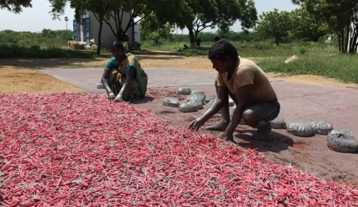 Tamilnadu
