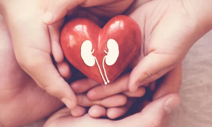 World Organ Donation Day