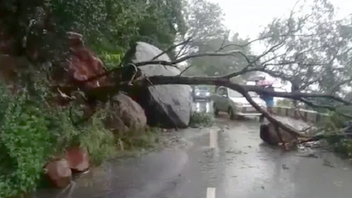 ஏலகிரி மலைப்பாதையில் சாய்ந்த மரங்கள்: போக்குவரத்து பாதிப்பு!