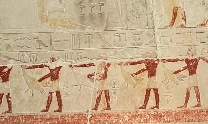 எகித்து தேசத்துக்கு ட்ரிப் அடித்து ஜாலியா சுற்றி வரும் ஆண்ட்ரியா - வெகேஷன் ஸ்டில்ஸ்!