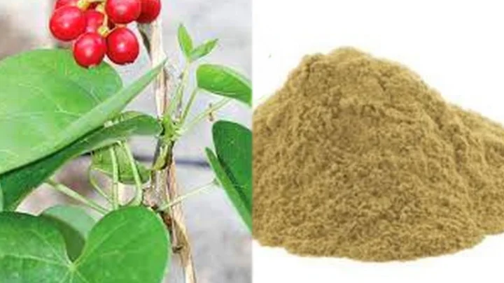 சீந்தில் கொடி