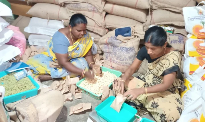 பொங்கல்