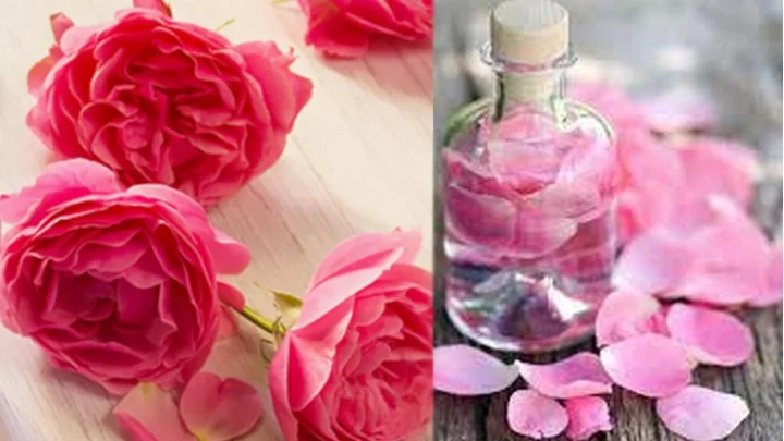 Rose Water