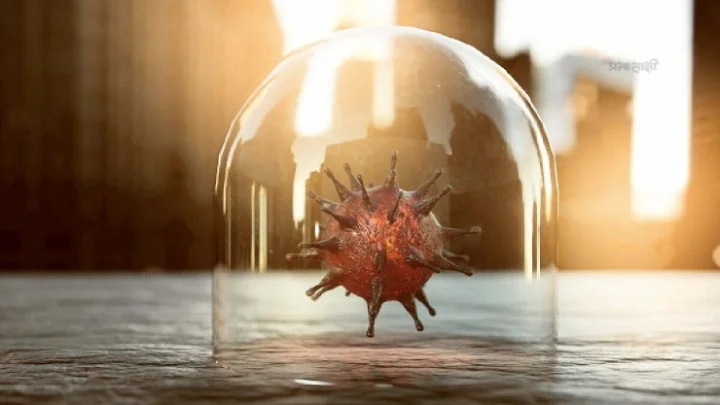 நியோகோவ் வைரஸ் மனிதர்களுக்கு பரவுமா? உலக சுகாதார மையம்