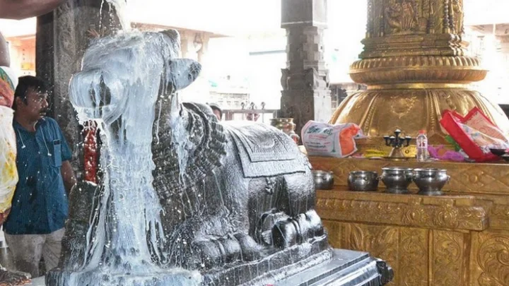 பிரதோஷ கால வழிபாட்டின் சிறப்புக்கள் பற்றி பார்ப்போம் !!