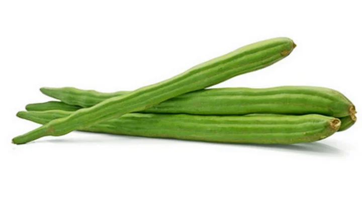 Drumstick