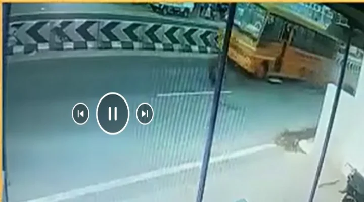 பள்ளி பேருந்து விபத்து