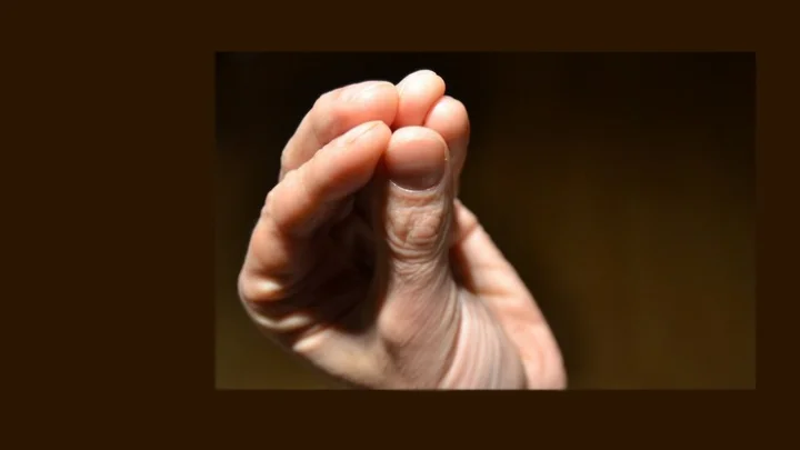 முகுள முத்திரை