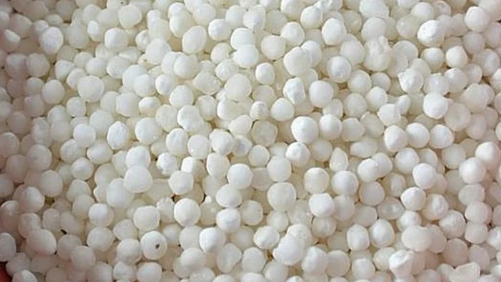 ஜவ்வரிசியில் உள்ள சத்துக்கள் மற்றும் பயன்கள் என்ன...?