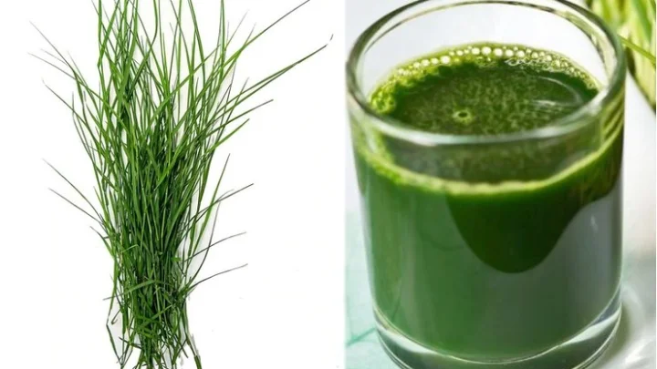 Arugampul Juice