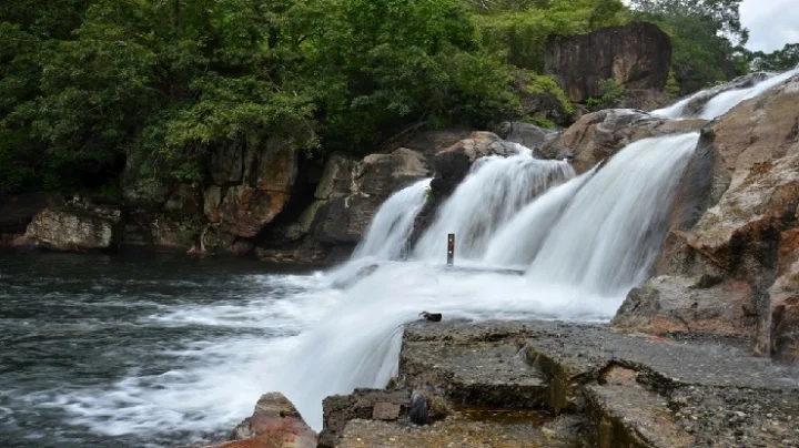 மணிமுத்தாறு அருவியில் பொதுமக்களுக்கு தடை!