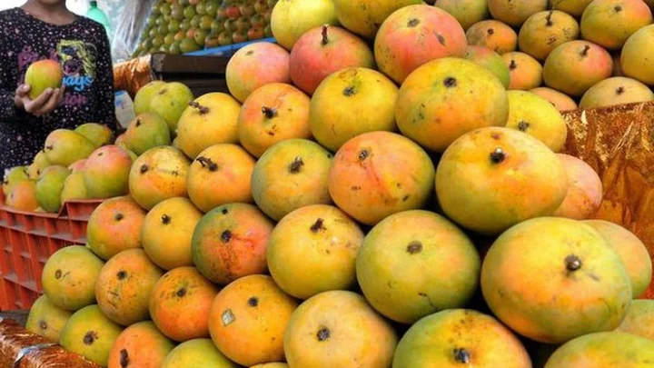 Mangoes