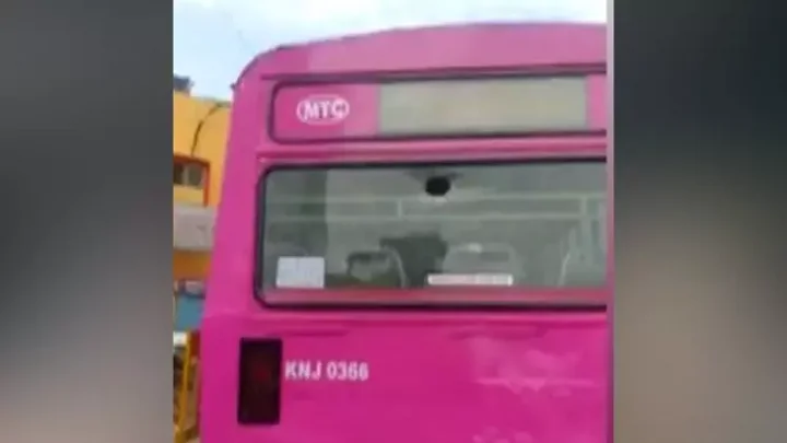 pink bus