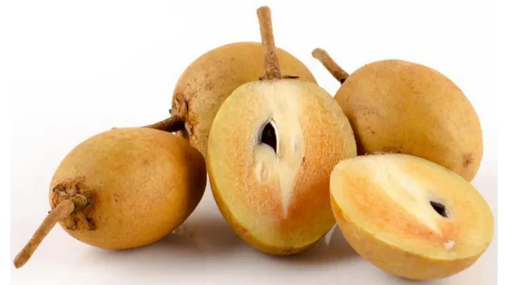 Sapota