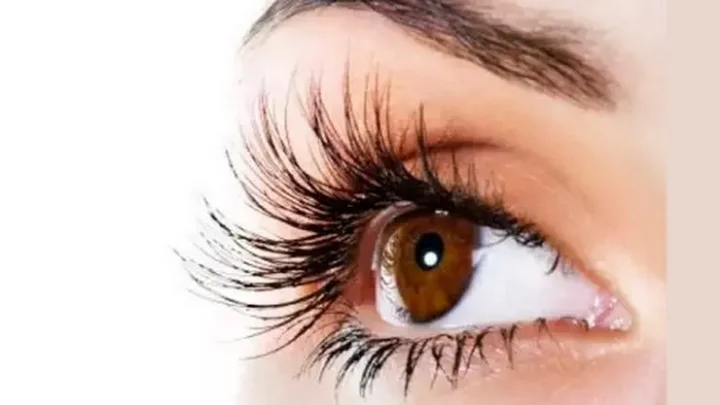 Eyelashes