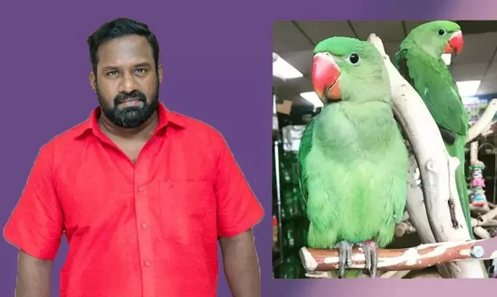 Robo Shankar 