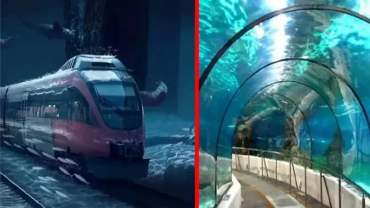 இந்தியா