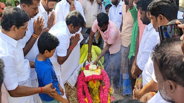 ஜல்லிகட்டில் மயங்கி விழுந்த  விஜயபாஸ்கரின் காளை உயிரிழப்பு!