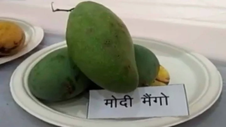 Modi Mango