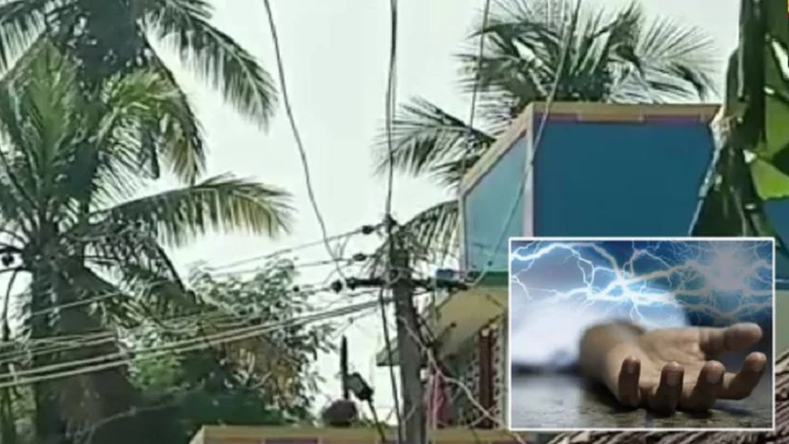 மின் கம்பி